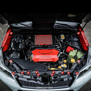 Engine Dress-up Clips for 14-18' SJ Forester (18 pc Complete Kit)