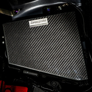 EngineArt Carbon Fiber Fuse Box Cover plates for '22 + WRX VB
