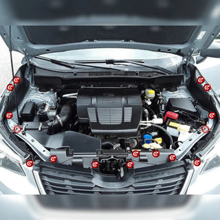 Engine Dress-up Clips for 19' + SK Forester (16 pc Complete Kit)